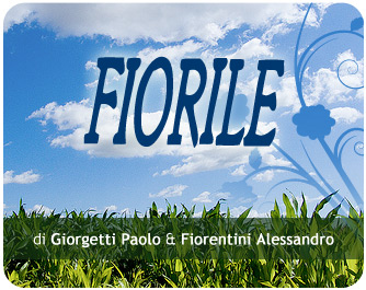 fiorile gardening giardinaggio pisa toscana pontedera ponsacco lari perignano